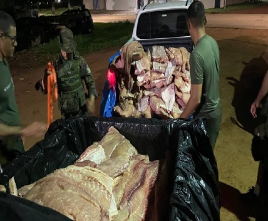 Comerciante é preso com uma tonelada de pirarucu em Rondônia