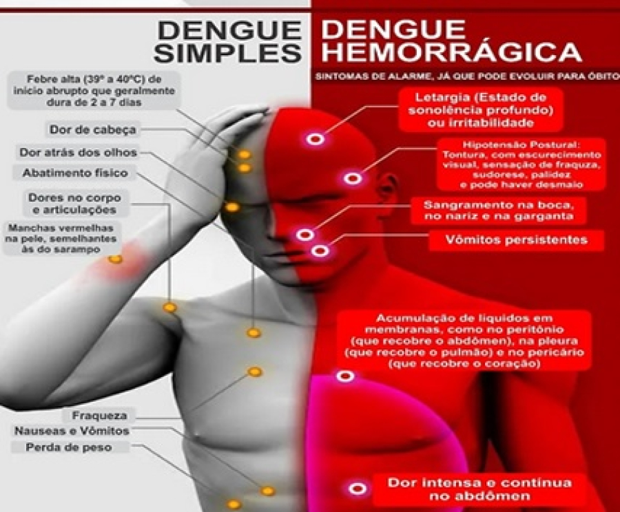 Urgente! Número de casos de dengue em 2024 Preocupa